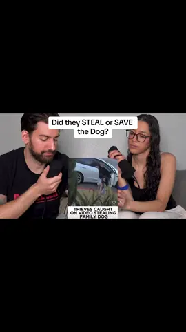 Did they Save or Steal the dog? #Podcast #JoeySalads #ViralVideos 