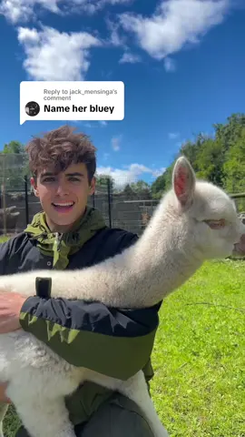 Replying to @jack_mensinga BLUEY IS HIS NAME 🤴 WE LOVE YOU BLUEY