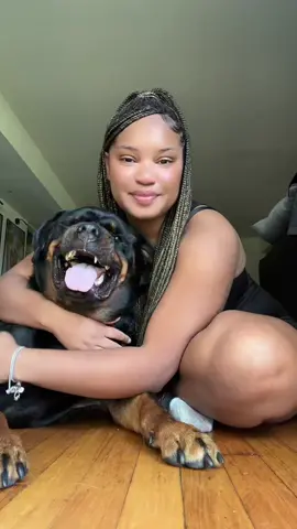 WHY DO ROTTIES GROWL WHEN THEY’RE HAPPY 😳 #rottweiler #PetsOfTikTok #rottie #rottiesoftiktok #rottweilersoftiktok 