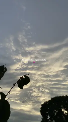 #viral #amor❤️ #foryou #fyp #parati #viralvideo #frases 