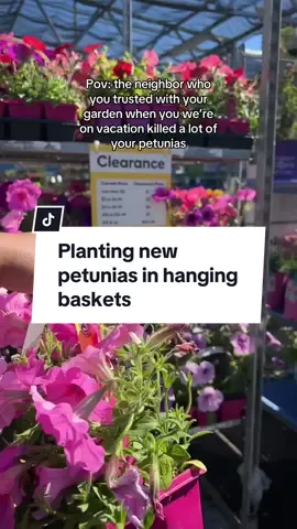 PETUNIAS UPDATE!!🥹 I am super lucky that LOWES have a looot of petunias on clearance. Half off!!! So I went grab a loooot replace the dead ones and plant new ones in the hanging baskets. I had to get new ones, i couldnt stand looking at dead flowers because I knew I wouldnt kill it if I didnt leave..🥺#gardenupdate #july #julygardenupdate #garden #gardening #backhome #plants #petunias 