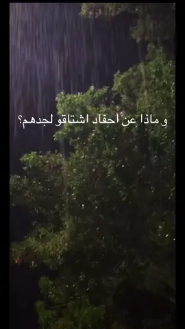 اللهم ارحم من كان بشوش الوجه طيّب القلب يارب اجعل جدي حبيبي من اصحاب الجنه الذين لاخوف عليهم ولا هم يحزنون. (الله يرحم جدي محمد) #اللهم_صلي_على_نبينا_محمد 