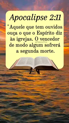 📖 #bibliasagrada #PalavradeDeus  #DEUS #JESUS #Cristao #fé 