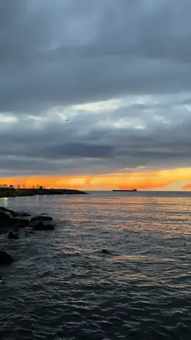 #تصويري #طبيعة #تصميم_فيديوهات🎶🎤🎬 #بحر #ترند_تيك_توك #fypシ゚ #explore #اكسبلور #explore #fyp #fypシ゚ #اكسبلورexplore❥🕊🦋💚❤ 