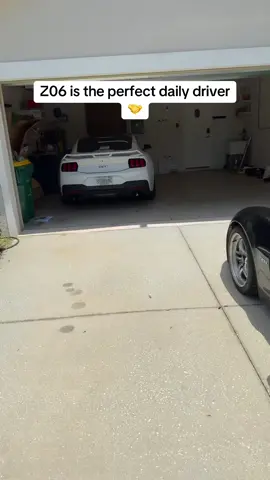 Roach just needed a few rest days😂 #stangry #corvette #z06 #carsoftiktok #carcommunity #boosted #chevy #hellhorseperformance #velocitymotorsports #fyp 