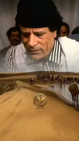 كان مونا عيني نشوفهم 💔 #عين_زارة🔥♥️ #طرابلس❤️ #طرابلس❤️ #علي_الكيلاني💚 #عبدالله_منصور #الموسيقارمحمد_حسن #ذكرى #سرتاوي💙🔥 #سرت_سرتناا🌻💚🦅 #تصميم_فيديوهات🎶🎤🎬 