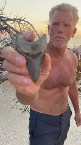 Shark Week Starts Tomorrow! We are especially excited to see what Mark Rackley is releasing again this year. His schedule: Sunday 10pm EST:  Makozilla Monday 9pm: Shark Frenzy: Mating Games Tuesday 9-11pm: Between shows with John Cena  Wednesday 9pm: Expedition Unknown: Sharks vs Nazis  Friday 9-11pm: Between shows with John Cena . . #SHRKco #sharkweek #shark #sharks #scuba #discovery #wildlife #planetearth 