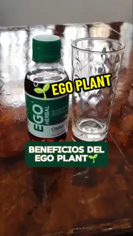 EGO PLANT OMNILIFE🌱#CapCut #calculos #renal #riñones #higado #orina #retenciondeliquidos #regenera #egoplant #omnilife #parati 