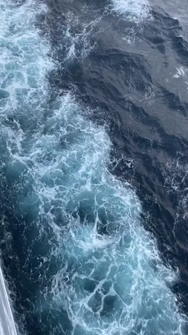 La maritza🐚#beachvibes 