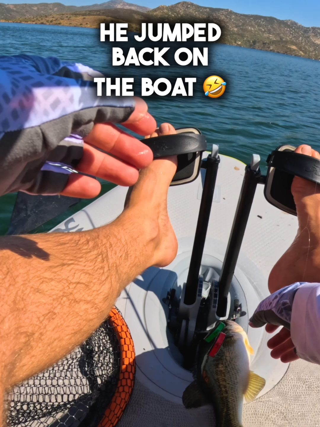 Did I just find my new pet fish? 🤔  I will definitely be back to catch him and bring him home. I caught him on a 6