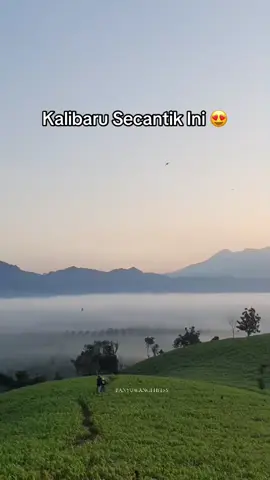 Yakin ga kepengen kesini lur ? . #kalibaru #perkebunan #banyuwangi_hitss #viral #videoviral #fyp #tiktokviral #wisataviral #menakjubkan #bei24jam #banyuwangi_hitss #banyuwangihits 
