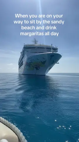 We spent the day drinking margaritas and wading through clear blue waters. I was chased by colorful fish, saw amazing sting rays and even a shark sighting! #cruise #summer2024 #cruisetok #fypage #fypage #bahamas #Meme #MemeCut 