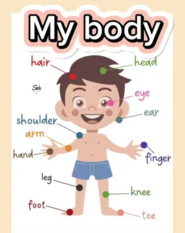 My body #english #vocabulary #body #mybody #grammar #exercise #answer 