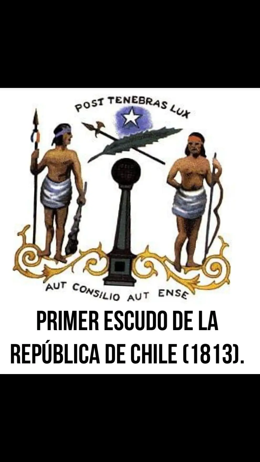 Creado durante la patria vieja  bajo el gobierno del general jose miguel carrera, cabe señalar que gran parte del pueblo mapuche apoyó al ejercito realista, asi como un sector minoritario se cuadró con los movimientos independentistas. Sobre la estrella solitaria de 5 puntas dice 