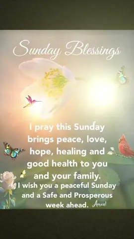 #fyp #foryou #foryoupage #viral #Love #positivevibes #life #selflove #positive #people #inspiration #knowledge #blessings #happy #healing #goodmorning #sunday #positive 