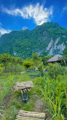 Nông trại của NPN #npn1st 