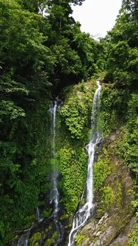 Tamaraw Falls Puerto Galera #dji #naturevideo #puertogalera #fypシ #nature #