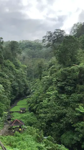 Dulu aku kira hutan dan gunung itu menyeramkan,tenyata surganya orang