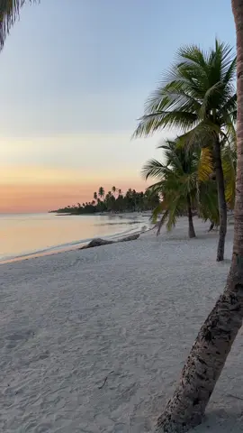 Life is this: sunsets in tropics #dominicanrepublic #domrep #carribean #paradise #saona #saonaisland #puntacana #bayahibe #wanderlust #sunset #sunsetlover #sunsetbeach 