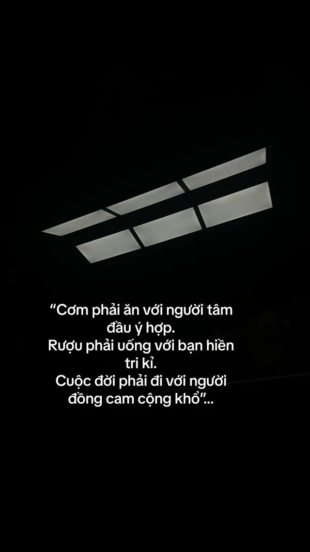 Sống thì phải vui nếu không thì hãy ngủ lâu dài…