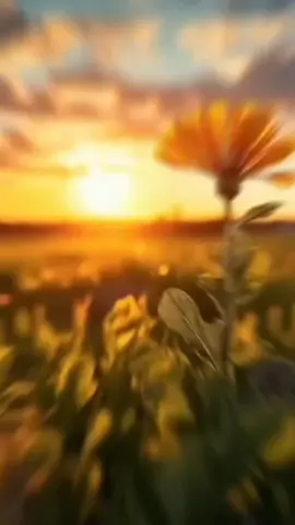 NOTITA DE DOMINGO... Te comparto esta NOTITA DE DOMINGO para que no te olvides que los obstáculos en la vida nos hacen MADURAR, los éxitos nos hacen REFLEXIONAR y los fracasos nos hacen CRECER. #buenosdias #notitadedomingo #frasesmotivadoras #frase #domingo #findesemana 