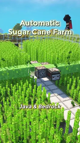 Best Automatic SugarCane Farm 🔧 (Java & Bedrock)