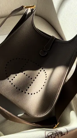 Hermès Evelyne 29 in etoupe 🩶 #hermes #hermesbag #hermesunboxing #hermesevelyne #hermeslove #luxuryunboxing #personalshopper #shoppingonline 