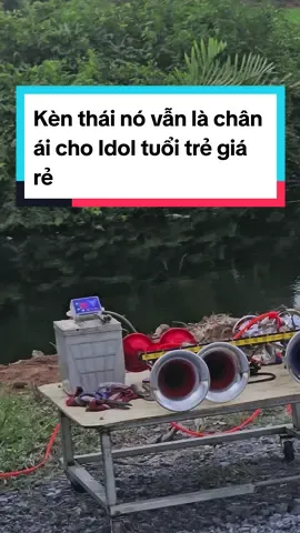 Chơi kèn thái nó vẫn là chân ái vì ghép với nhại cực nhạy nhất là đi đôi rơ le điện tử #cicada #kenthai #kenongvang🎺🐝 #kenhoixetai #idolxetai #testkenthai 