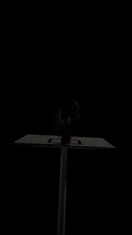 The Best sound 🔊🏀 #explore #fyp #foryou #viral #basketball #ballislife🏀 #🏀 #NBA #4u #كرة_السلة 