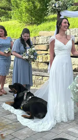 All eyes on… the dog?? 😂  We wouldnt change a thing! #weddingtiktok #bride #bestdog 