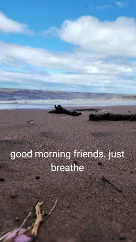 just breathe #justbreathe #breathe #intention #thistooshallpass #thanks #thankful #anxiety #asmr #grateful #gratitude #beach #driftwood #lake #lakesuperior #waves #wave #sky #water #heal #journey