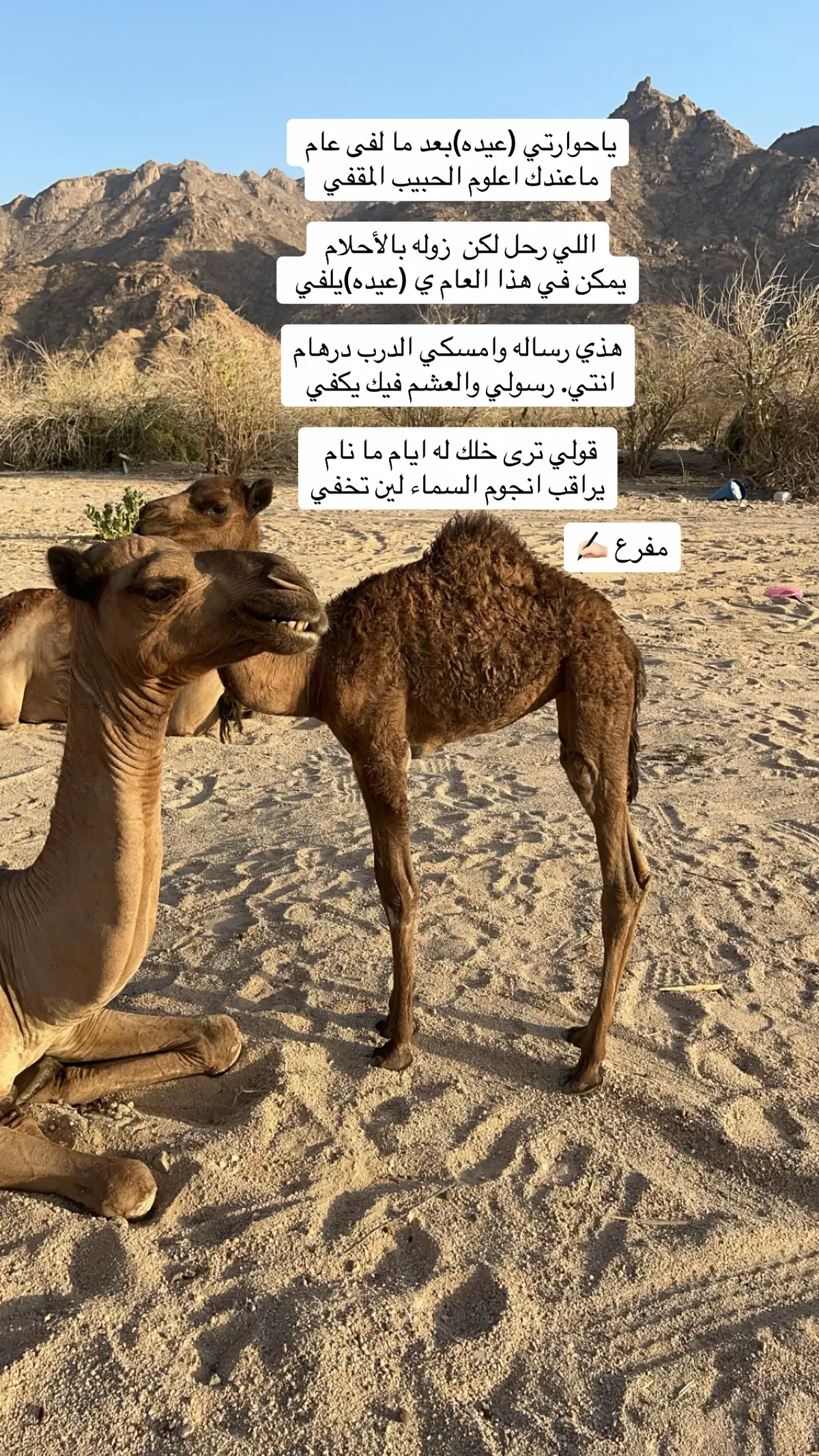 #اكسبلورexplore_o🤭❤_تصويري 