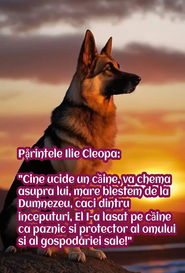 #citate 