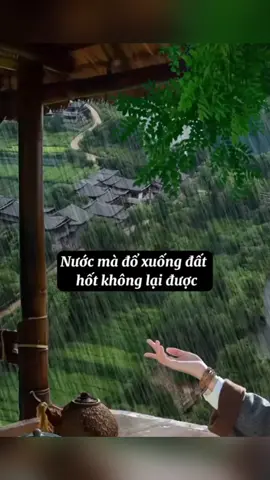 #tramcamxuc💔 #ýnghĩacuộcsống #caunoihay #trietlicuocsong 