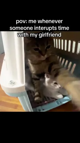 relatable! 😂 ( email for video credit/removal ) #Relationship #relationshipmemes #boyfriend #girlfriend #memes 