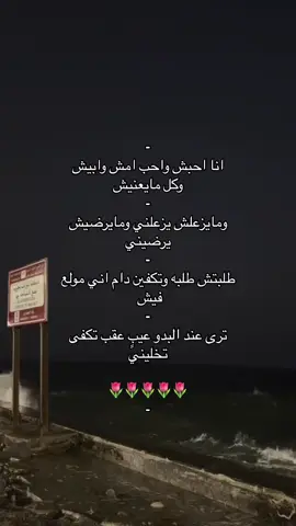 انا احبش وحب امش🌷🩶.#شيلات #4u #fypシ゚viral 