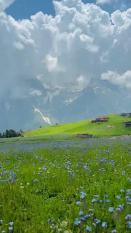 ذمہ جنت جنت وطن💐🏔️#exploreswat #chukailmeadows #chukailbanda #chukail #explore #swatbeauty #explorepage #exploring 