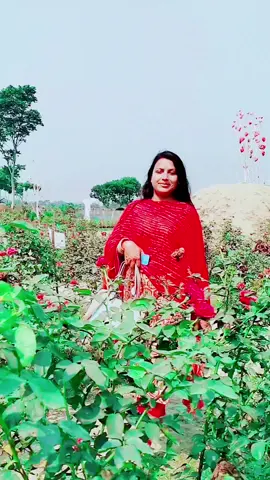 #bdtiktokofficial #viralvideo 