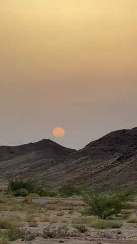 مساء السعاده ♥️🕊🥀🥀