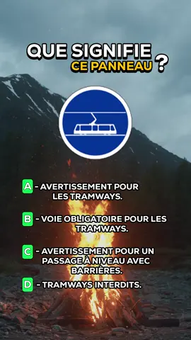 Que signifie ce panneau ? Code de la route 2024 #2024 #codedelaroute #permisdeconduire #examen #permis 