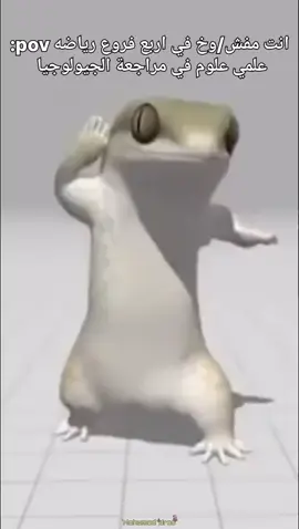 . . . .#viral #v #fypppppppppppppp #foryou #f #memes #ميمز #الشعب_الصيني_ماله_حل😂😂 