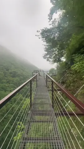 #CapCut #georgia #ოკაცესკანიონი #ოკაცესჩანჩქერი☘️🏞 #გორდი #კინჩხა #foryoupage #for #gordito 