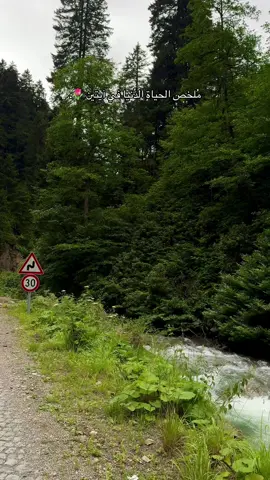 رب أوزعني ان اشكر نِعمتك التي انعمت علي ♥️  #تركيا #الشمال_التركي #ريزا #اوزنجول #طرابزون 