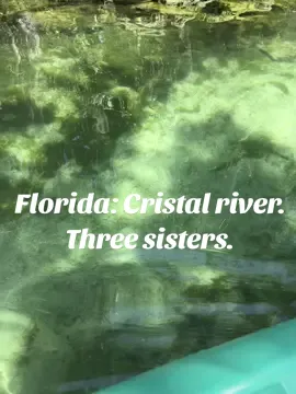 #cristalriver #WeekendVibes #chills 