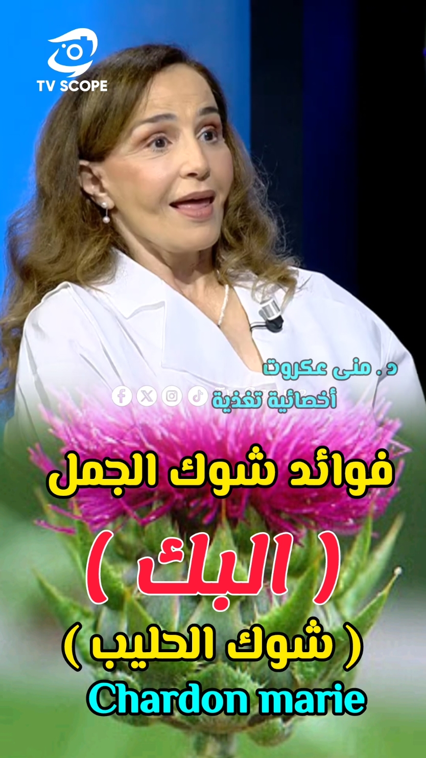 فوائد شوك البك #اعشاب_طبيعيه_فوائد #تونس🇹🇳 #tvscope 