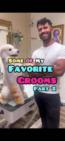 Some of my favorite pups! All dyes are safe and developed for pets. #cutedog #doggrooming 