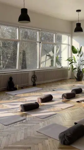 Теперь вы знаете, что такое хатха йога  #йогадляначинающих #йонагермания #йогаучитель #йогаасана #йога #йогавкемнице #йогавхемнице #йогаповсемумиру #развитиесебя #йогадлямам #йогасдетьми #обучаюсьнайогатичера 