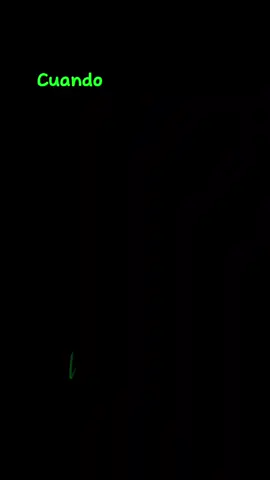 #VoiceEffects #tormenta #guerrero #soledad #fuerza #voluntad #mgnamara #fypシ 