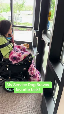 This is bravo's favorite task that he does for me! Being a quadriplegic with no arm movement opening doors are difficult even pressing the accessible door button but having a dog that could open it for me lets me be independent!  #fyppppppppppppppppppppppp #fyp #spinalcordinjury #disabled #paralyzed #servicedog #bravotheservicedog #quadriplegic #giveadogajob #servicedogssavelives #dogs #opendoors 