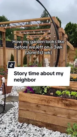 STORY TIME!! I dont have a self watering system YET bcos i didnt have time to install as this trip was kinda emergency.. So, Before we left on a 3wk trip back to my home country 🇵🇭, i asked our neighbor to water my garden daily for 3wks. He is a self employed landscaper. So he charged me $15/hr for 21 days thats how he came up of $315.. and I agreed. But when we came back, i was very sad to see the petunias in a hanging basket died. All of it! Crispy dead! Strawberries and lavender on the wall, DEAD! So I asked him what happened and he said “idk. I water them daily mybe not enough” but I think it was nvr watered. Even the garden beds, the plants looked thirsty AF.. I was mad of course, but i kept that to myself. Im the kind of person who just STFU when i get mad, too much emotions that I chose to shut down. We still have good relationship as neighbors, bcos he is still worth keeping. Still useful😁 So, i ended up buying lots of new petunias, strawberries and lavender to replace the dead ones and I chose to forget, forgive and move on and if this ever happens to you, i hope you will to. Life is too short to have enemies around you🙂😌